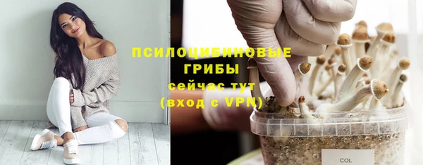 ПСИЛОЦИБИНОВЫЕ ГРИБЫ Михайловка