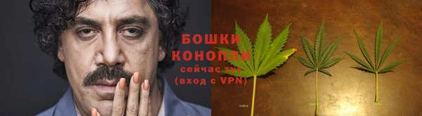 ПСИЛОЦИБИНОВЫЕ ГРИБЫ Михайловка