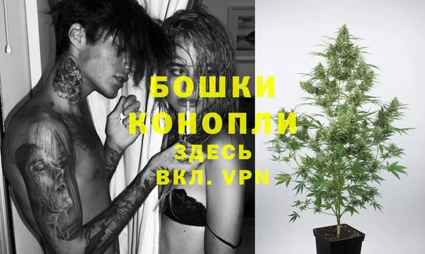 ПСИЛОЦИБИНОВЫЕ ГРИБЫ Михайловка