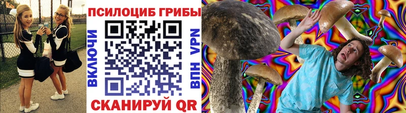 Галлюциногенные грибы Psilocybine cubensis Ряжск